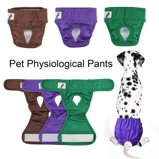 Physiologische Hose für Hunde