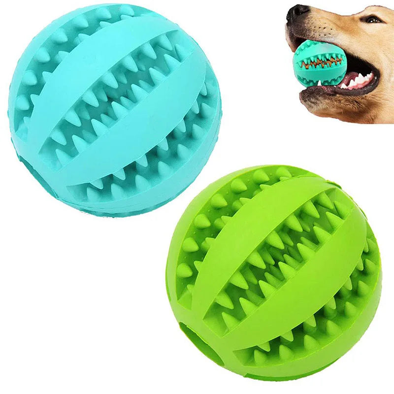 Chew Toys for Dental Care &amp; Interactive Play